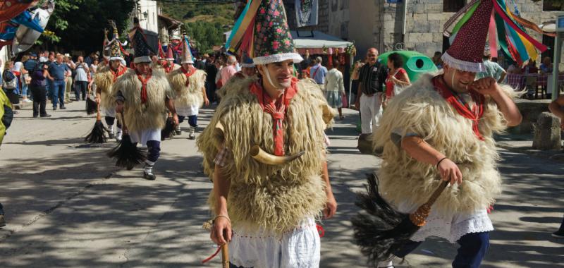 Carnavales en Navarra